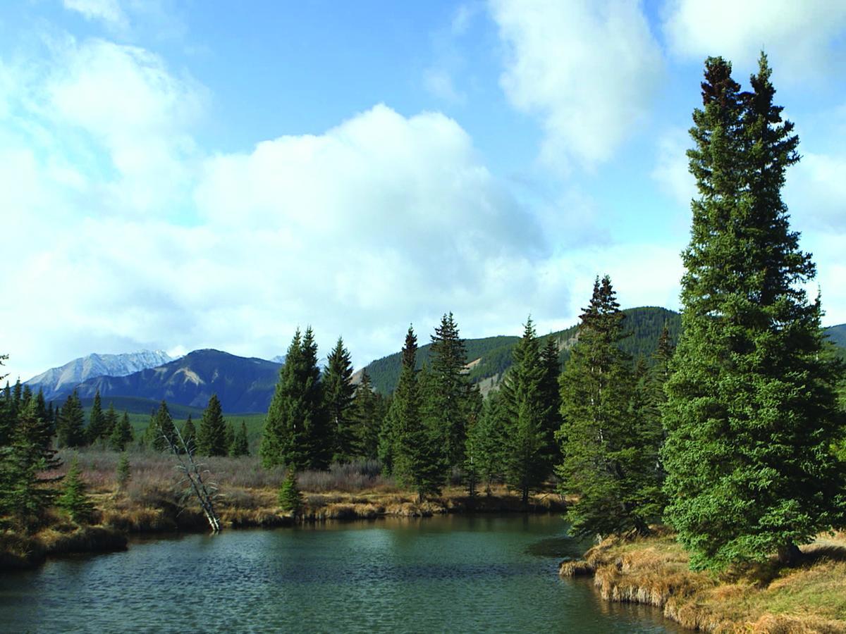 Rock Lake Lodge Rock Lake Lodge Provincial Park Экстерьер фото