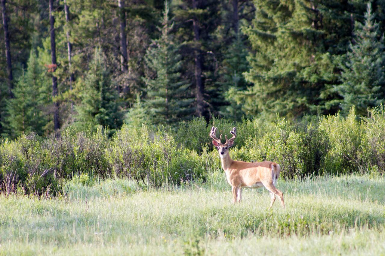 Rock Lake Lodge Rock Lake Lodge Provincial Park Экстерьер фото
